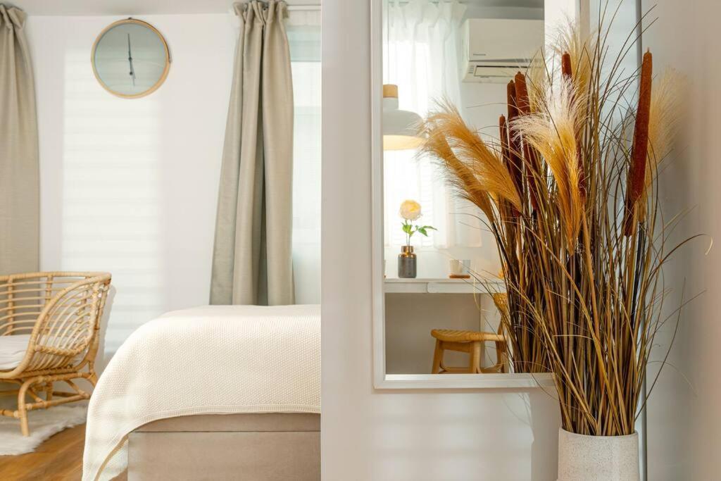 New Cute Studioapartment In Ljubljana + Free Bikes ภายนอก รูปภาพ